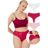 Cottonhill Dantelli Tül Detaylı Büyük Beden Kadın Brezilya 3'lü Paket Külot - 2 - 3XL - Bordo - Beyaz