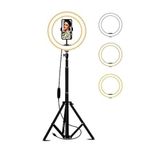Coverzone 12 inch Youtuber LED Işıklı Halka Telefon Tutuculu 12 inç 30 cm Selfie/Yayıncı/Makyaj Işığı 210 cm Tripod M-300 (12 inch 30 cm)