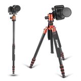Coverzone 165 cm Maks Yükseklik, Profesyonel Fotoğraf Tripodu 360° Panoramik Bilye Başlık, 13 kg Taşıma, Monopod Dönüşümü, Hızlı Çıkarma Plakası, Telefon Tutucu + Kumanda | Zomei Z818
