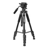 Coverzone 170cm Profesyonel Kamera Tripodu 2’si 1 Arada Tripod Monopod 10kg Taşıma Kapasiteli 3 Yönlü Kafa Hızlı Bırakma Plakası 1/4 Vida Telefon Tutucu Uzaktan Kumanda | Zomei Q310