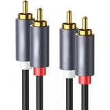 Coverzone 2RCA Stereo Ses Kablosu Altın Uçlu Yüksek Ses Kalitesi AUX 3.5mm RCA Kablo Subwoofer Amfi TV Ses Sistemi ile Uyumlu Dayanıklı PVC, Audio Kablo, Siyah (0.5metre)