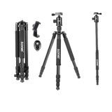 Coverzone ZOMEI Z818C Profesyonel Taşınabilir Karbon Fiber Dijital Kamera ve Kamera Tripod Monopod Standı, Tüm Canon Sony Nikon Samsung Panasonic Olympus Kodak Fuji Gold için Top Başlıklı (Siyah)