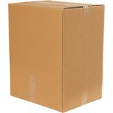 Cox Shine Çift Oluklu E-Ticaret Kutusu Kalın 18X22X30 Cm(10 Adet)