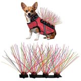 CoyoteVest CoyoteWhiskers Koruma Naylon Kıllar, CoyoteVest veya Sivri Yelek için Köpek Koşum Yeleği, Çakal, Şahin ve Raptor Saldırılarını Önleyen Köpek Aksesuarları (4'lü Set, Gökkuşağı)