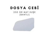 Çözüm Kağıt Dosya Cebi 250 gr Mat Kuşe Bantlı 500 Adet