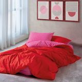 Cozy Home Ranforce Popping Colors Tek Kişilik Nevresim Takımı - Sage Kırmızı-Fuşya - 160 x 220 cm