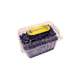 Cozyberry Taze Yaban Mersini 1000 Gr