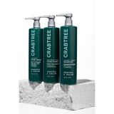 Crabtree Evelyn Cleanse Clarify 443 ml Şampuan+443 ml Saç Kremi+443 ml Hand Wash