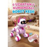 Craftivio Akıllı Robot Kedi - Uzaktan Kumandalı, Dokunmatik, Programlanabilir, Dans Eden Eğitici Oyuncak - Çok Renkli
