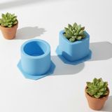 Craftto Silikon Saksı Kalıbı 2'li Set - 5.5 - Mavi