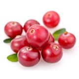 Cranberry Tohumu Yaban Mersini Turna Yemişi Tohumu 5 Tohum+