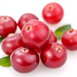 Cranberry Tohumu Yaban Mersini Turna Yemişi Tohumu 5 Tohum+Hediye