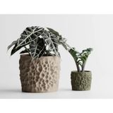 Cratera Dekoratif Saksı - Bej Işlemeli Modern Bitki Saksısı 14 cm - 165x165x140mm