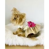 Creamy Fuchia Tütülü Köpek Elbisesi, Kıyafeti Tutu