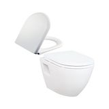 Creavit Terra Asma Klozet TP325 + Creavit Amasra Thermoplast Yavaş Kapanan Klozet Kapağı KC5000 KC0103.02