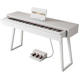 Cremonia 58819 Wh Dijital Piyano | Kompakt Gövde - Beyaz - Renkli