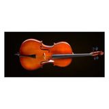 Cremonia Cello Kılıflı+Yay+Reçine, 1/4 Scale, German Sistem