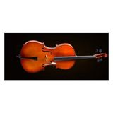 Cremonia Cello Kılıflı+Yay+Reçine, 3/4 Scale, German Sistem