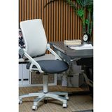 Creo Mobili Kurumsal Çalışma Alanı İçin Uyumlu Ofis Sandalyesi - Taşıma kap. 120kg, Beyaz/Antrasit - Sirius - Antrasit - Beyaz