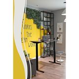 Creo Mobili Yükseklik Ayarlı Elektrikli, Bluetoothlu, Orion 2 Kademe Ofis ve Çalışma Masası Antrasit ANTRASİT