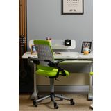 Creo Mobili Yükseklik Ayarlı Vega Plus Çalışma Sandalyesi, Ofis ve Bilgisayar Koltuğu Yeşil/Yeşil 45x57 cm