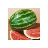 Crimson Sweet Karpuz Meyve Tohumu 5 Gr