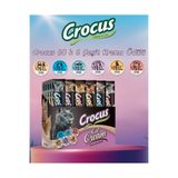 Crocus Multipack Krema Kedi Ödülü 60 Adet (6 Çeşit) – 15 g
