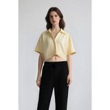 Cropped Fit Gömlek Yaka Keten Görünümlü Kısa Kollu Bluz