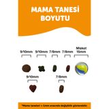 Croque Adult Cat Balıklı 600 gr Yetişkin Gurme Kuru Kedi Maması