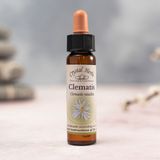 Crystal Herbs Bach Çiçekleri Clematis Yaban Asması - 10 ml
