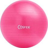 Csf20cmp Yoga Pilates Jimnastik Topu 20 cm Pembe