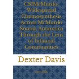 CSIMcMurdo: Widespread Chemosynthesis Across McMurdo Sound, Antarctica Through the Lens of Infaunal Communities