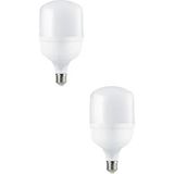 CT-4330 Beyaz 25W Torch Ampul 2'li
