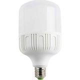 CT-4330 Torch LED Ampul 25W Beyaz-1 Adet