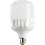 CT-4330 Torch LED Ampul 25W Beyaz-10 Adet