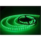 CT-4483 3 Çipli Şerit LED Iç Mekan, Yeşil, 5m - CT-4483 3 Çipli Şerit LED İç Mekan, Yeşil, 5m