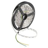 CT 4485 Cata 3 Çip İç Mekan Şerit Led Amber 12V (15 Metre)