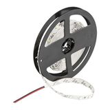 CT 4487 Cata 3 Çip Dış Mekan Şerit Led Beyaz 12 V (10 Metre)