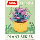 Ctoys Florist Burçlar Saksılı Bitki Yapım Seti Capricorn 8942 10