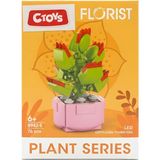 Ctoys Florist Burçlar Saksılı Bitki Yapım Seti Leo 8942 5