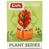 Ctoys Florist Burçlar Saksılı Bitki Yapım Seti Sagittarius 8942 9