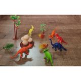 Ctoys Mini Dinozor Seti