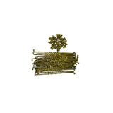 Cub Arka Jant Teli 160-4 Sarı Gold