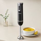 Çubuk Blender 300W Çelik Uçlu