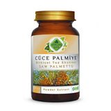 Cüce Palmiye Toz Ekstresi (Serenoa Repens)100 Gr. Cam Kavanoz