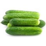 CÜCE TURŞULUK SALATALIK