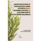 Çukurova Bölgesi Kıraç ve Taban Arazi Koşullarında Yetiştirilen Biberiye Rosmarinus Officinalis L. Çeşitlerinin Verim ve Kalitesi Üzerine Araştırmalar - Muzaffer Kırpık