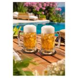 çukurova home Pub Bremen Kulplu 2'li Bira Bardak