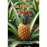 Cultivo de piñas: Cómo cultivar frutas tropicales en países no tropicales