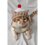 Cupcake Kek Bere Örgü Kedi Köpek Şapkası Evcil Hayvan Şapkası Pet Aksesuarları